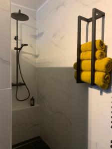 WielsbekeGuestsuite The Nest的相册照片
