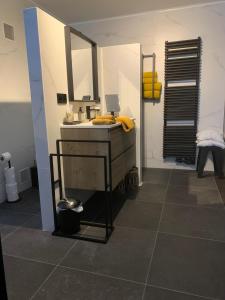 Guestsuite The Nest的一间浴室