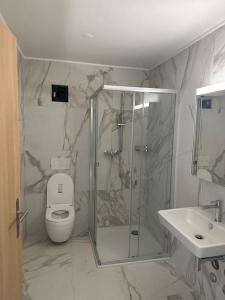 a bathroom with a shower and a toilet and a sink at Wohnung Neubau in Schaffhausen in Schaffhausen