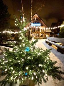 un árbol de Navidad frente a un edificio con luces en ZAJAZD BIAŁCZAŃSKI Dom Wypoczynkowy Restauracja, en Białka Tatrzanska
