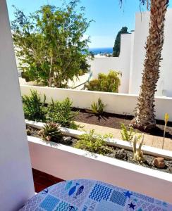 a view from the balcony of a house with plants at Apartamento Lory-Puerto del Carmen in Tías