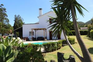 a house with a pool and a palm tree at Batalha House in Ponta Delgada
