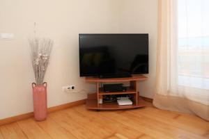 uma televisão de ecrã plano numa bancada numa sala de estar em Rooftop Terrace Apartment PDL em Ponta Delgada