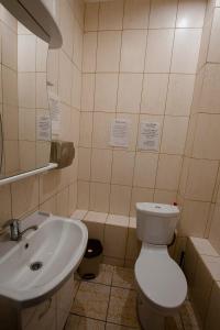 a bathroom with a toilet and a sink at Gostevoy Dom Stroganovikh in Kursk