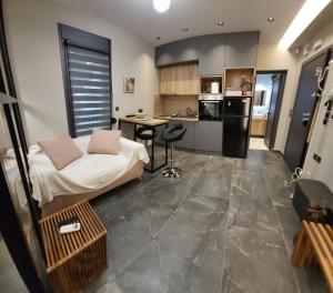 ein Wohnzimmer mit einem Sofa und einer Küche in der Unterkunft Modern studio in Veria center, near Elia square in Veria