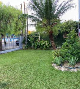 um quintal com uma palmeira e um quintal com relva em Loft veraneio em Balneário Camboriú