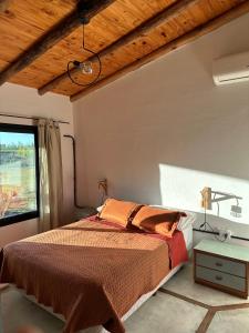 Foto de la galería de Casa entre viñas en San Rafael