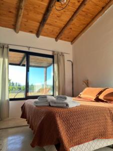 Foto de la galería de Casa entre viñas en San Rafael