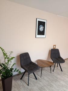 2 Stühle und ein Tisch in einem Zimmer in der Unterkunft Апартаменти центр біля озера in Ternopil