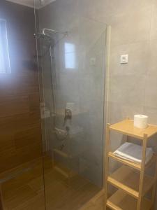 una ducha con una puerta de cristal y una toalla en un estante en Twins, en Bečej