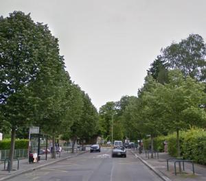 Une rue avec des voitures et des arbres dans l'établissement Petit bel air, à Chêne-Bourg