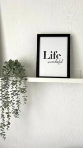 a shelf with a picture and a potted plant on it at LouVi in Kehl am Rhein