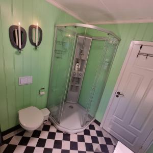 een groene badkamer met een douche en een toilet bij Koselig hus med fantastisk utsikt, Stadlandet in Stadlandet