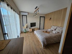 een slaapkamer met een bed en een flatscreen-tv bij The Pool house in La Farlède