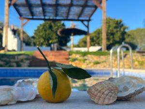 a yellow fruit with a plant in it next to a pool at Quinta da Layla in Olhão