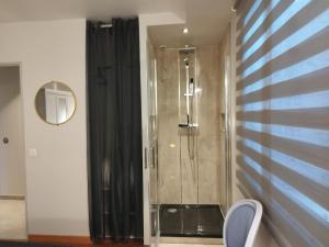 y baño con ducha y puerta de cristal. en Appartement Luxe dans Villa Borghese La Boisse, en La Boisse