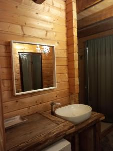 bagno con lavandino e specchio di Gemütliches Holzhaus in Gamlitz! a Gamlitz