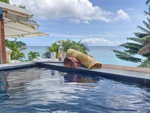 哥西尔Appt Serenity Piscine Vue Mer的可以看到海景的游泳池