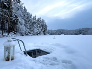 Iken Mökit في هينولا: فانوس في الثلج بجانب مسطح مائي