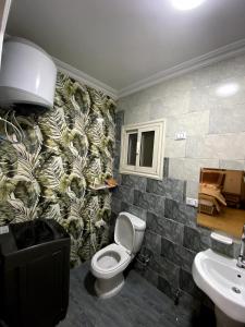 La salle de bains est pourvue de toilettes et d'un lavabo. dans l'établissement شقة فندقية بالمعادى 116, au Caire