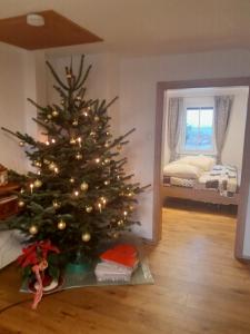 a christmas tree in a room with a bedroom at S´Neunal in Freundorf