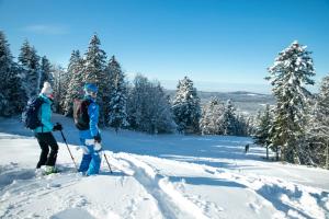 duas pessoas em cima de esquis na neve em Le pied-à-terre du botaniste em Hauteville-Lompnes