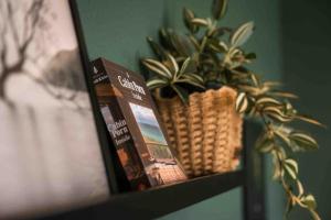a shelf with a book and a plant on it at Ferienwohnung Bali Style mit High Speed WLAN und gratis Parkplatz in Gera
