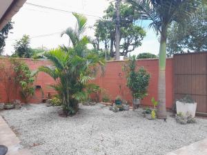 un jardín con palmeras y plantas frente a una valla en Casa na praia da Cachoeira, en Florianópolis