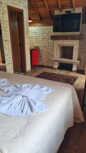 a bedroom with a bed with a fireplace and a television at Pousada Vilas di Espanha in Monte Verde