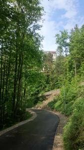 uma estrada sinuosa com árvores em cada lado em Semmering Studio-Apartment em Semmering