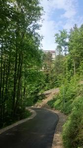 Príroda v okolí apartmánu