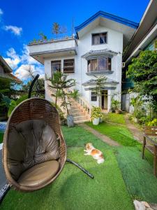 een kat op het gras voor een huis bij Lovely Villa in Tagaytay with Pool & Full Taal View in Tagaytay