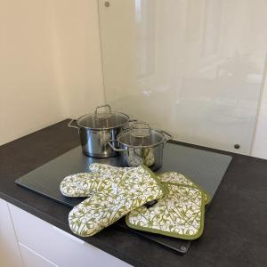a kitchen counter with two pots and mitts on a tray at Ferienwohnung Auf Der Höll in Daubach +8 photos