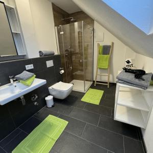 a bathroom with a shower and a toilet and a sink at Ferienwohnung Auf Der Höll 