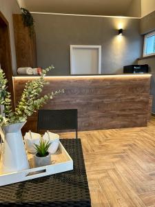 a counter with a table with a potted plant on it at Wellness Tajemství Lucy 