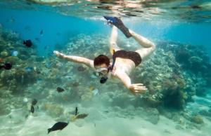 uma pessoa está nadando na água com peixes em Casa Quintal - Pé na Areia - Araçatiba Ilha Grande em Praia de Araçatiba