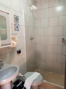 a bathroom with a shower with a sink and a toilet at Dell Osky Pousada in Florianópolis