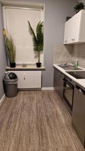 Dapur atau dapur kecil di Flensburg City 10 1OG R +18 gambar
