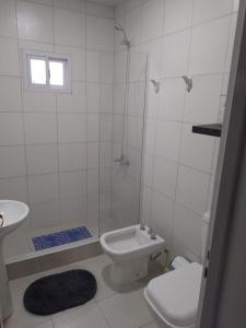 ein Badezimmer mit Dusche, Toilette und Waschbecken in der Unterkunft CASA quinta ""LUZ AZUL"" con pileta, galeria, calefaccion , doble aire frío calor, WIFI in Santa Rosa