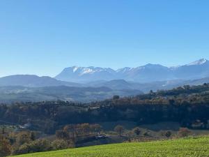 een groen veld met bergen op de achtergrond bij B&B Lidia Ricci in Montegiorgio