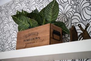 uma planta numa caixa de madeira numa prateleira em GuestReady - Homely Leeds City Apartment Sleep 4 em Meanwood