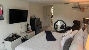 1 dormitorio con 1 cama y TV en la pared en Paradise Gardens-Wilton Manors-Clothing Optional- Male only en Fort Lauderdale