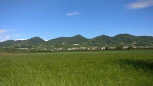 un campo de césped verde con montañas en el fondo en Oleaclub Locazione Turistica, en Asolo