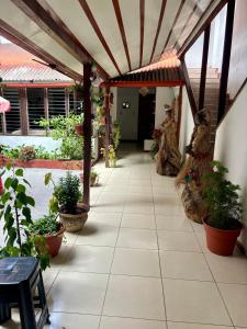 un patio con macetas y un edificio en Hospedaje Casa Amazónica Iquitos, en Iquitos