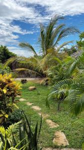 a garden with palm trees and a dirt path at The lookout lodge in Tangalle