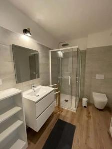 uma casa de banho com um lavatório, um chuveiro e um WC. em Appartement à Cala Rossa em Lecci
