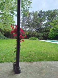 Un palo con un mazzo di fiori rossi sopra di La Colorada, home for... La Amistad Polo a Open Door
