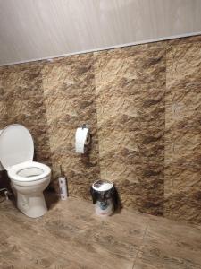 baño con aseo y papel higiénico en Gold Star en Kazbegi