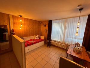 a large room with a bed and a window at La Baipa Accesso piste in Mezzana