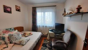a living room with a couch and a chair and a window at Bubu Apartament in Petroşani